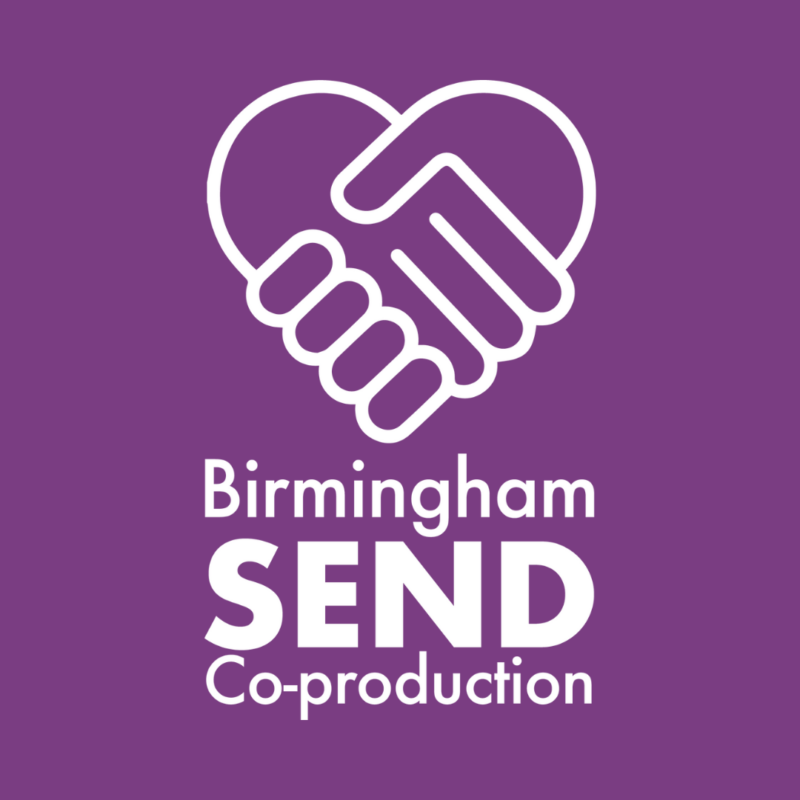 A white Birmingham SEND Co-production logo on a purple background