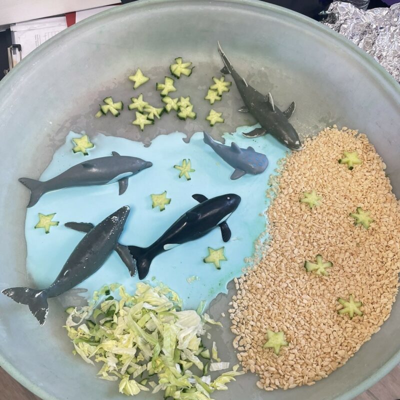 Food art of a beach and sea with marine life.