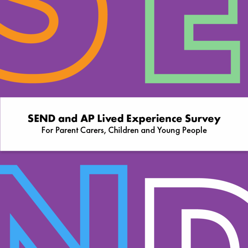 The SEND an AP Lived Experience Survey for Parent Carers, Children, and Young People